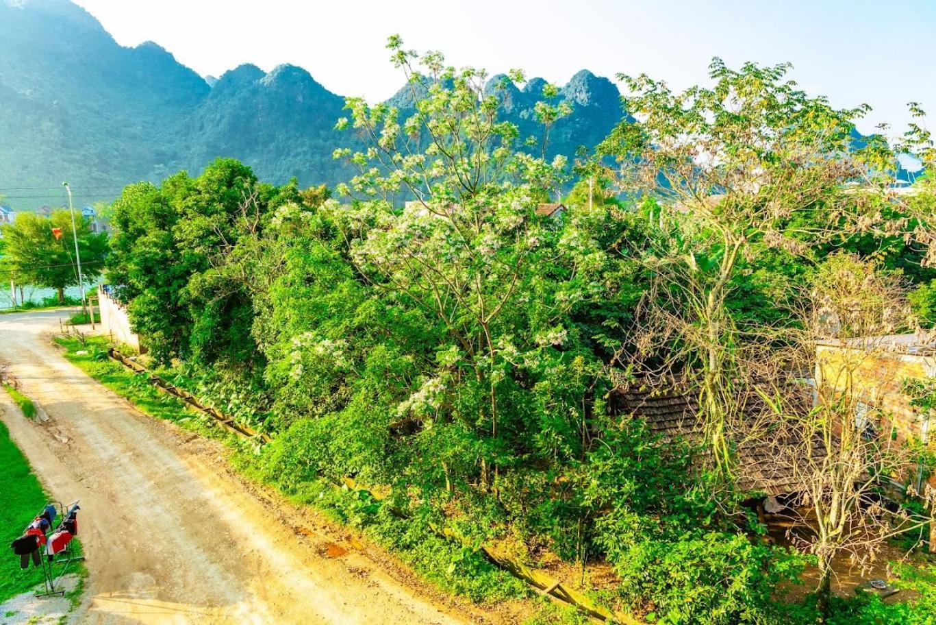 Phong Nha Cherish House Lägenhet Exteriör bild